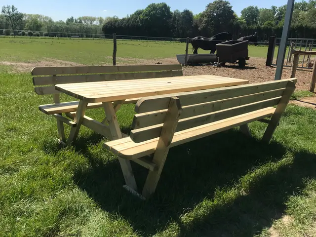 KING® picknicktafel 240 cm met rugleuningen